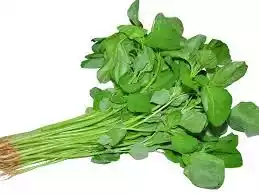 Data Shak (Data Spinach) 1 bundle