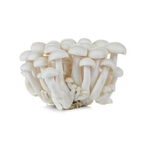 Mushroom Shimeji 1 Packet