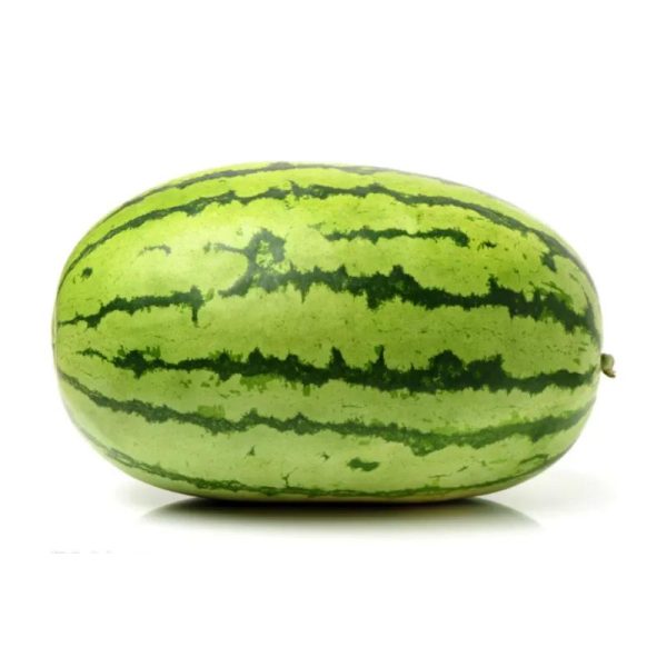 Watermelon 1Piece