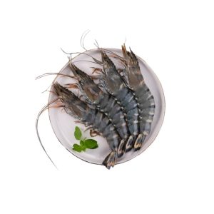 Black Tiger Shrimps U15 1PACKET