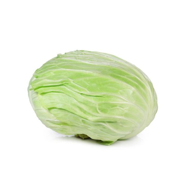 Cabbage White Flat 1Piece