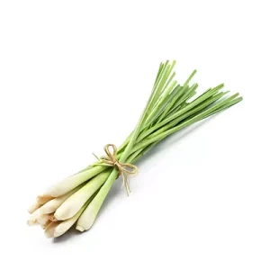 Lemon Grass Stalk ± 12 gm 250 gm
