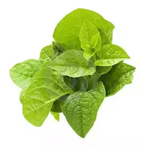 Pui Shak (Pui Spinach) 1 bundle
