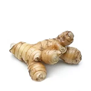 Thai Ada (Ginger Thai) ± 12 gm 250 gm