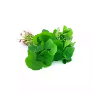 Thankuni Pata (Pennywort Leaves) 1 bundle